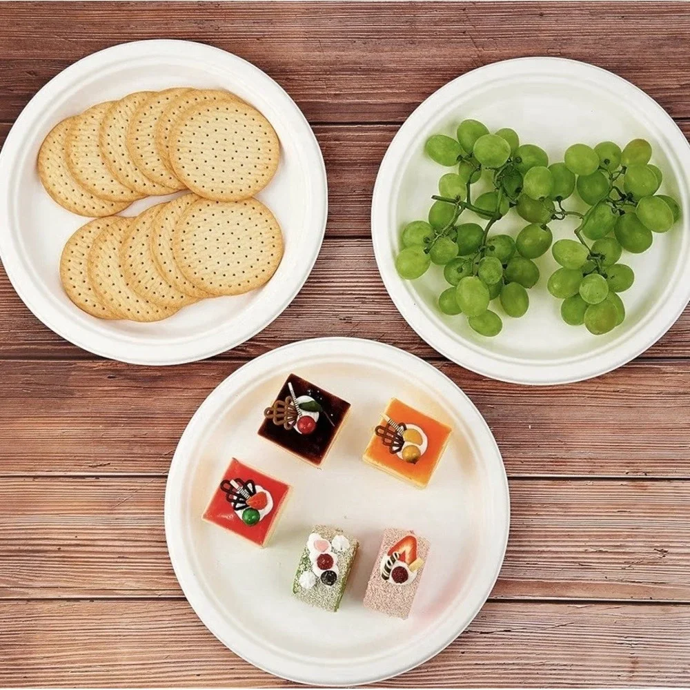 Vplus 150 Pack Compostable Disposable Paper Plates 10.25 inch Super Strong